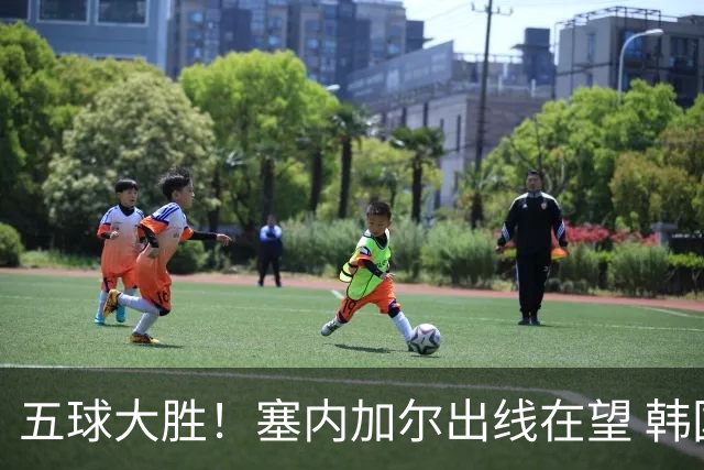 五球大胜！塞内加尔出线在望 韩国晋级仅剩理论希望